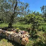 ヴィラ Casa Stancarlino